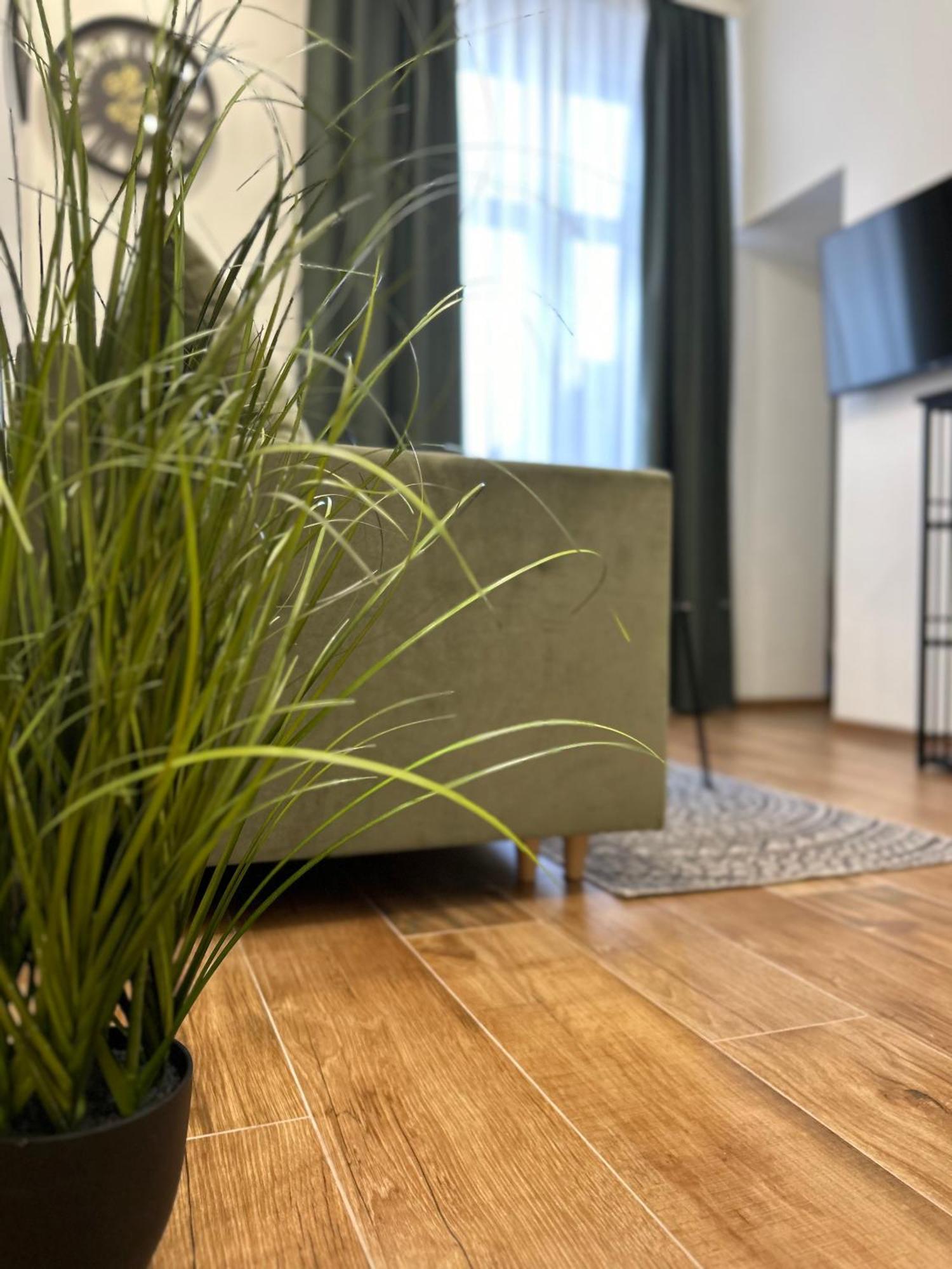 Apartament Krasinskiego Пшемишъл Екстериор снимка